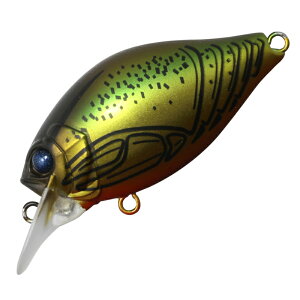 ꐽ(issei) G.C.V[NN 40SR h(`[) 40mm #27 E`_UKj