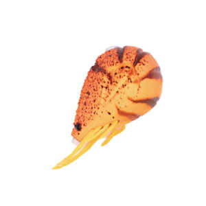 GEECRACK(W[NbN) CVʃX[ 100g #006 IWCV