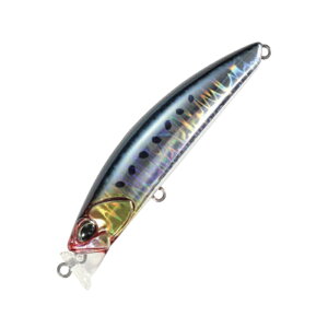 fI(DUO) et DC-9 obg 90mm CPB0054 CCV