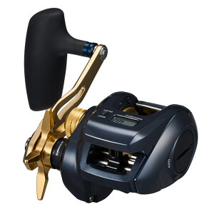 _C(Daiwa) TIERRA eBG LJ IC300H Enh 00631024