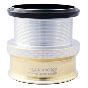 X^WII[V}[N JX^Xv[ NO LIMITS(m[~bc) 22EX4000S/T(22) GS(S[h×Vo[) 310-34324