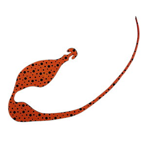 XyV KSS 185mm hbgZIW