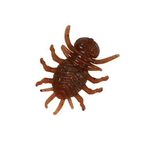 fI(DUO) AX E(fJjV) 47mm F028 Gr~\