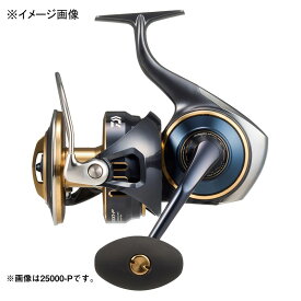 ダイワ(Daiwa) 25ソルティガ 20000-P 20000-P 00065087