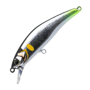 TIMON(eB/) gR[ cmbJ[ 43mm ǈk