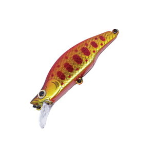 DAYSPROUT(�f�B�X�v���E�g) Rarkhamua(���[�J���A) 50HS 50mm #01 �A�J�L�����}��OR�x���[