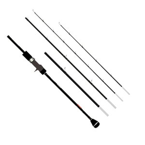 gXZfX(TRANSCENDENCE) C[^Ng Eta quattro 65B+ 65B+