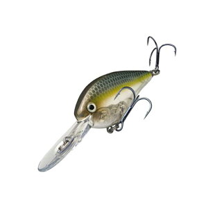 XgCNLO KVD 1.5 tbgTChNNxCg 2.75C` 585 ZNV[S[Xg~m[