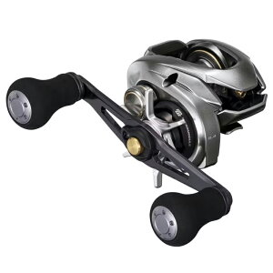 �V�}�m(SHIMANO) 25 �X�e�B�[�� 100PG 100PG 048462