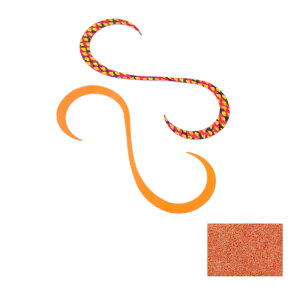 {ދ (IEJ) ^ColN^C J[[ #13 GA~Gr