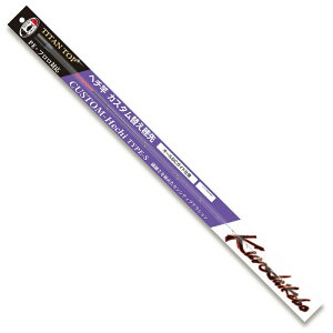 H[ t w`ƃJX^ւ CUSTOM-Hechi TYPE-S TYPE-S