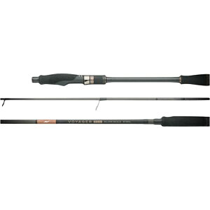 �A�s�A(APIA) VOYAGER(�{�C�W���[)EX IV SILVER SCALE S73ML S73ML
