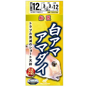 D(ZVE) A}EA}_C V[gV b12/nX3 T30522Q6