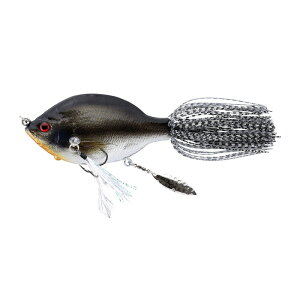 �e�C���E�H�[�N(tail walk) ZOE (�]�[�C) tailwalk����J���[ �o�X���A�[ 91(mm) 20TH ANV SILVER