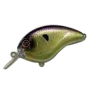 mibro(�~�u��) �`�[�^�[ Type-C 56mm 22 �e�[�u�����b�N�S�[�X�g