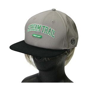 STREAM TRAIL(�X�g���[���g���C��) STRAIGHT CAP COLLEGE(�X�g���[�g�L���b�v �J���b�W) �t���[ GRAY gfc-st-0426