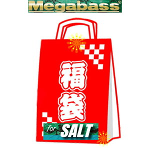 i\12j KoX(Megabass) 2026KoX SALT SET 00000057662