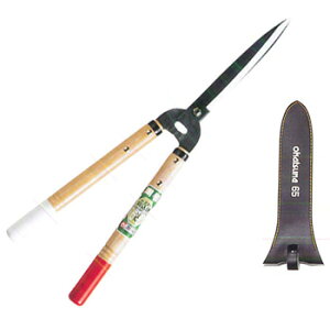 P(okatsune)  65^ V[gnh (Z) 231