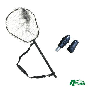 Buccaneer(obJjA) fBOlbg WxIII 500+^WCg(2_Zbg) 5m ubN