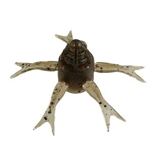 WbJ(JACKALL) W~[wW 50mm qPXWGr