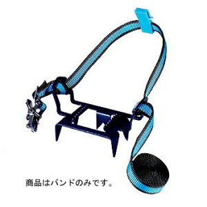 xg(Belmont) yAC[7p oh BS-004