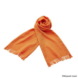 ݂₴^I(MIYAZAKI TOWEL) }t[ Xu ONE SIZE No.28(F) 07710001000028