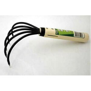 G[  E҂܂(ؕ) No.605200