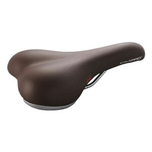 CYCLE PRO(TCNv) CP-SD3110 Th RtH[gGEL TCN/] uE