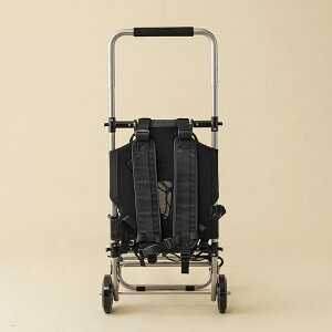 _C(Daiwa) _C FpbNLX^[(A) ubN 04700343