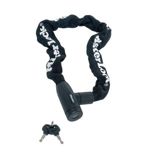 Master Lock(}X^[bN) CeO[ebhL[ X[u`F[bN 8391 ubN 8391EURDPRO
