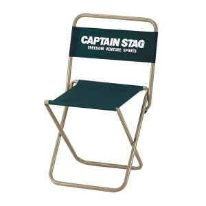 �L���v�e���X�^�b�O(CAPTAIN STAG) CS���W���[�`�F�A(��)type2 �O���[�� UC-1598