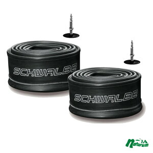 SCHWALBE(Vx) y2{ZbgzyKiz`[u 20C`(406) 40mm 2.0×1.10-1.50A20×1-1/8 6SV