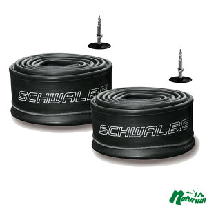 SCHWALBE(Vx) y2ZbgzyKiz`[u 20C` ou 20×1-1/8(451) 7ASV