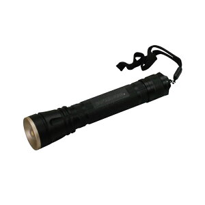 LveX^bO(CAPTAIN STAG) _A~PWT LEDCg3W120 UK-4025