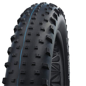 SCHWALBE(Vx) yKizW{W MTBp t@bgoCN TCN/] 26×4.40 ubN(ETRTO:110-559) SW-11600815.02