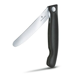 VICTORINOX(rNgmbNX) g}gxW^u tH[fBOiCt JbeBO{[hZbg ubN 6.7191.F3