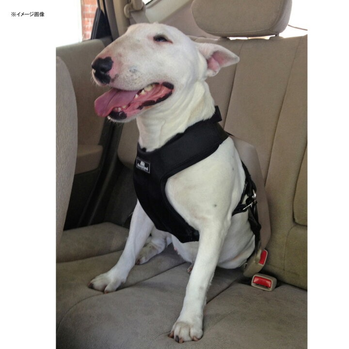 世界の人気ブランド ラガーコーポレーション Lager Corporation クリキット テレイン L レッド Fucoa Cl