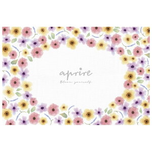 LveX^bO(CAPTAIN STAG) Av[ \tgCW[V[g 90 u[ UT-1015