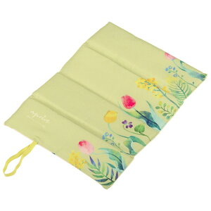 LveX^bO(CAPTAIN STAG) Av[ FDUug OE×CgO[ UT-1018