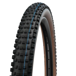 SCHWALBE(Vx) yKizEBLbhEB MTB^C TCN/] 27.5×2.40 uY(62-584)AGround SW-11654272