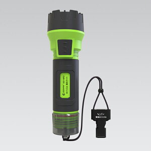 �O�b�h �O�b�Y(good goods) �z�C�b�X�� ���Ѓ��C�g �ő�2000���[���� �[�d�� ED-8FZ