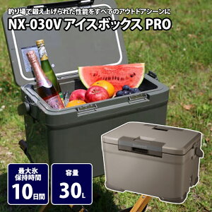 �V�}�m(SHIMANO) NX-030V �A�C�X�{�b�N�X PRO 30L 03 ���J 115447