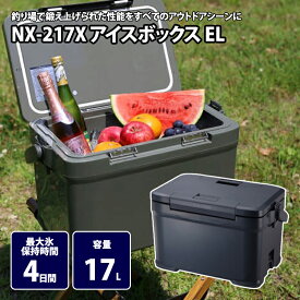 シマノ(SHIMANO) NX-217X アイスボックス EL 17L 01 チャコール 115454