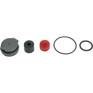 TOPEAK(gs[N) rhLbg(TRK-TMTT01) YPP27900