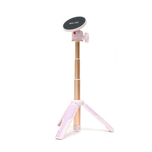 SLIK(XbN) }Ol|bh X}zOr MagsafeΉ p[v 444681