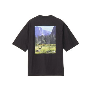 THE NORTH FACE(�U�E�m�[�X�E�t�F�C�X) �V���[�g�X���[�u���Z�~�e�V�[�i���[�e�B�[ NT32436 �S4�F �S2�T�C�Y