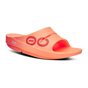 OOFOS(E[tHX) OOahh Sport(E[A[ X|[c) 200005 S6F S5TCY