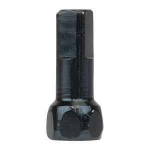 DT SWISS(DT XCX) tbg wbNX vwbh jbv(100Zbg) 2.0x14mm SKN01000