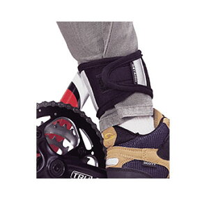 I[Xgb`(OSTRICH) Y{NbvC ubN