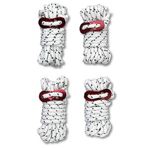 Coleman(R[}) KC[v 3m 170TA0038